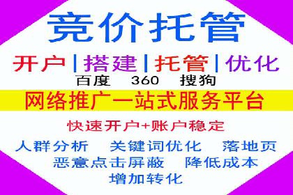 深度解析：百度推广费用与ROI的关联案例